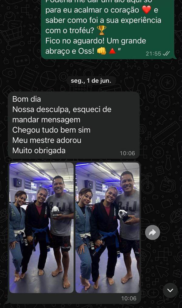 Print de conversa no WhatsApp: Cliente conta que chegou tudo bem e que o mestre adorou, com fotos na academia